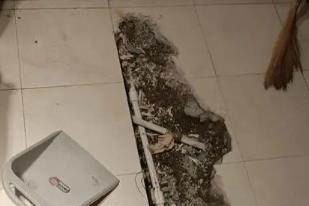 昂仁卫生间漏水检测电话